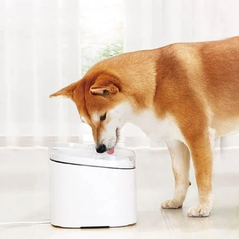 Fuente de agua Xiaomi Smart Pet Fountain de 2 litros BHR6161EU