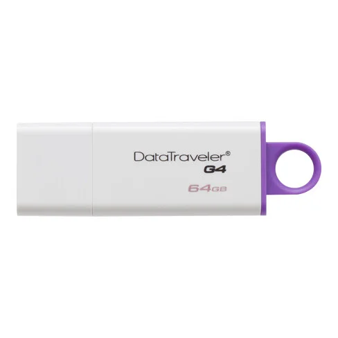 Pendrive Kingston DataTraveler DTIG4`