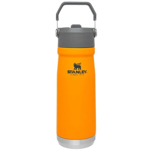 Termo Stanley Flip Straw Water Bottle de 650ml