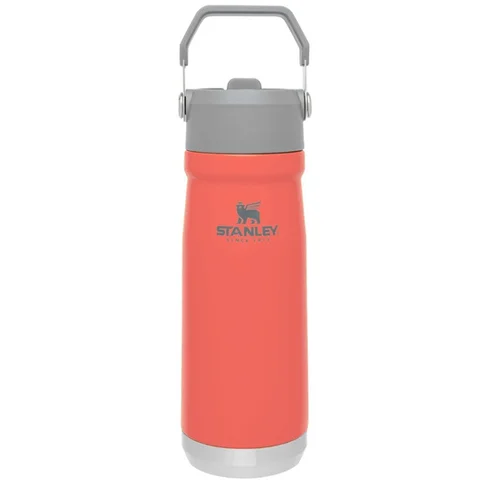 Termo Stanley Flip Straw Water Bottle de 650ml