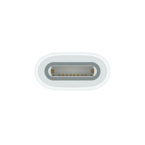 Adaptador USB-C para Apple Pencil MQLU3AM/A